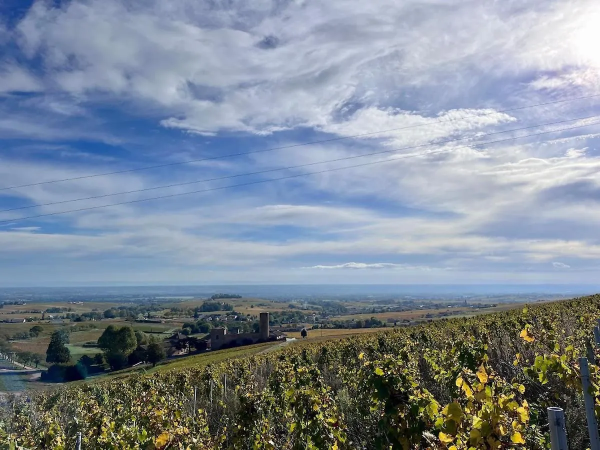 Welcome To Beaujolais Le Perreon France